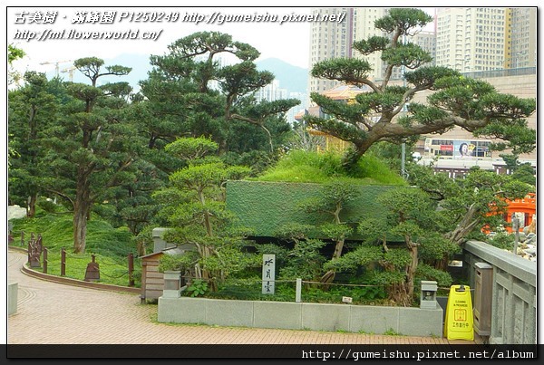 ba514 e996aafc3a18eb4d9167515e48a03e10 n 2011~香港之旅(Hong Kong)~南蓮園池(Nanliangarden)~#7~水月臺 旅遊(Travel)