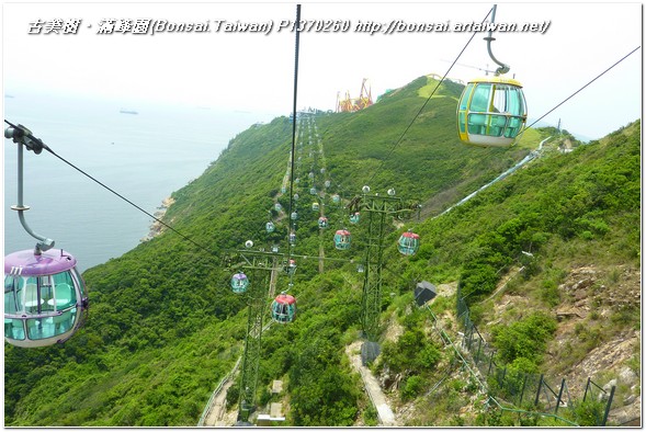 bf21f p1370260 Kids trip @Hong Kong 2011~#3~Ocean Park 旅遊(Travel)