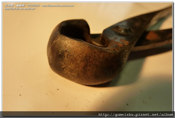 c2be6 normal c06fee8fdfdeed5d402d734f5dc4910b 盆栽樂趣~我的工具大開箱~(六)~各型剪刀工具綜合 盆栽樂趣(Travel)