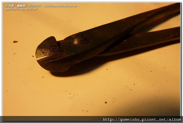 c5a9e normal 4303703c04e2564eeb146a6910493eb5 盆栽樂趣~我的工具大開箱~(五)~黑鐵針金切(鋁線剪) 盆栽樂趣(Travel)