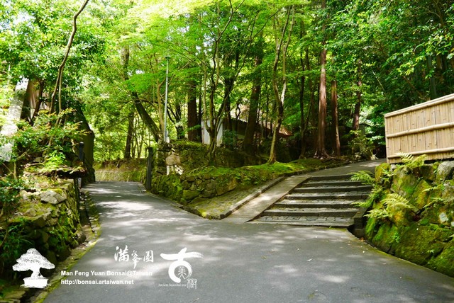 c69c3 p1240701 [日本庭園]法然院．山門內の靜謐(1) 日本庭園(Japanese Garden)