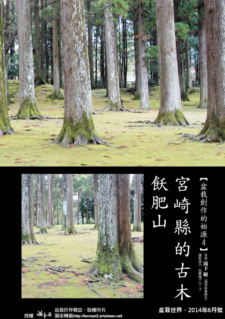 c7c32 062 065 [盆栽世界]2014年6月號．[盆栽創作的始源4]