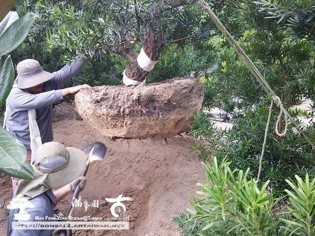 d7d3d 16035165579 b03c2967e9 o 齊力，把事情做好 日常作業