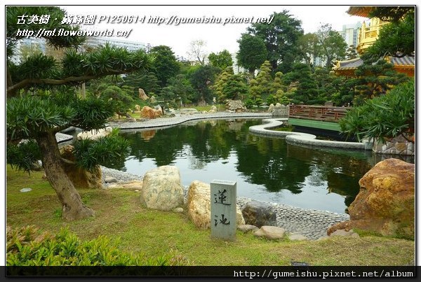 d80b2 d75560e884faf99e56ce70bc3e988b81 n 2011~香港之旅(Hong Kong)~南蓮園池(Nanliangarden)~#12~蓮池&南蓮照壁 旅遊(Travel)