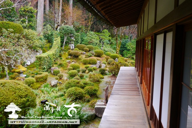 d99d8 p1370818 [日本庭園]雨中的三千院(1) 日本庭園(Japanese Garden)