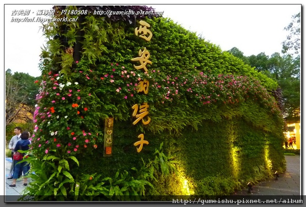 da145 normal fb9df2babc2a474fd93c48ce77282efb 走馬看花之~2010臺北國際花卉博覽會~#2~西安&上海庭園 盆栽樂趣(Travel)