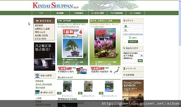 e18ed 4b9ec2bcd33f2 近代盆栽 盆栽(Bonsai)