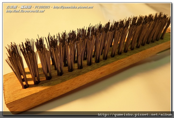 e25e2 normal 1468d2534965f38fbe6a9118dc6a6e65 盆栽樂趣~我的工具大開箱~(八)~綜合小工具 盆栽樂趣(Travel)