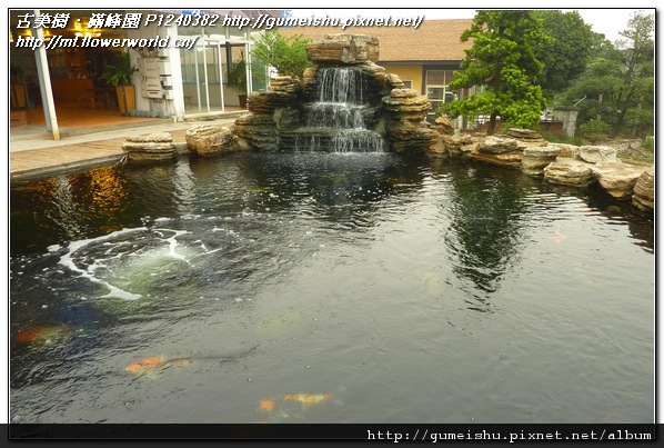 e460c fbc87457e8fa0e245348f29607211f96 2011~大陸之旅(China)~#2~遊錦鯉培養場(Colored carp) 旅遊(Travel)