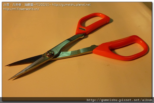 e4bb2 normal a024b9caa44eb2f3c4efe0ca683863ac 盆栽樂趣~我的工具大開箱~(二)~Hengyu剪刀 盆栽樂趣(Travel)