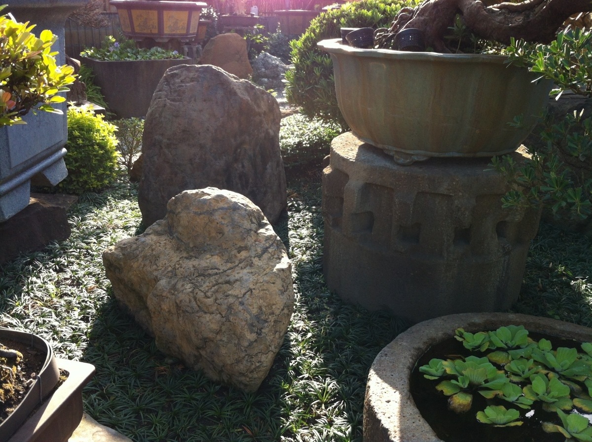 fccb5 20130104 072915 2013／1／4@滿峰園