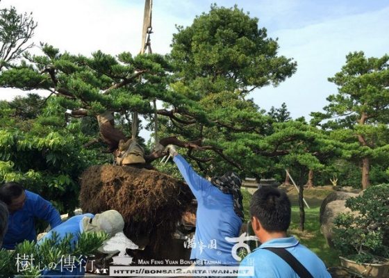 024 [關於我們]一個人走得快，一群人走得遠 古美樹(Gumeishu)