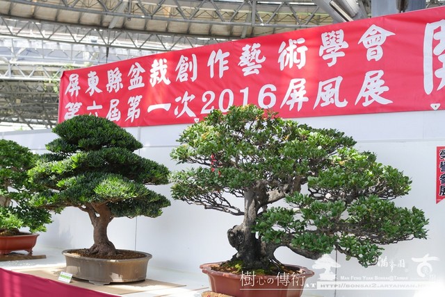 3955a p1010832 [展覽]2016屏風展，盛會．美樹分享 2016屏風展
