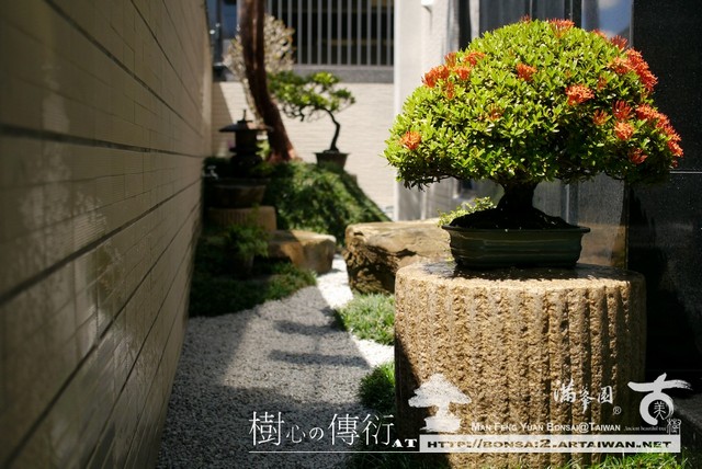 a0af4 p1480386 [庭園造景]施工記錄@201606 我們的作品(Our design)