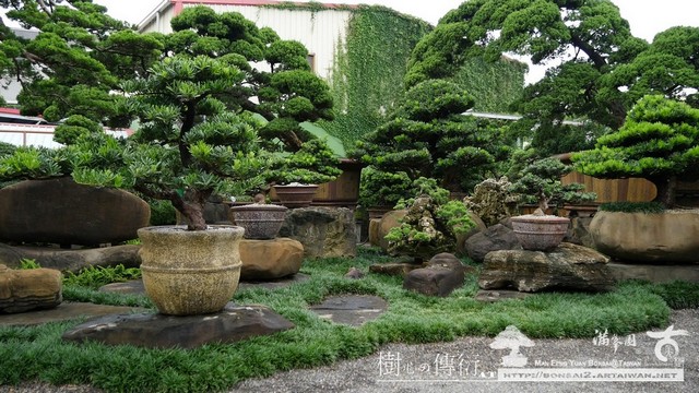 P1090182 [滿峯園]微雨早晨與鳥鳴.園內即景(1) 影片(Video)