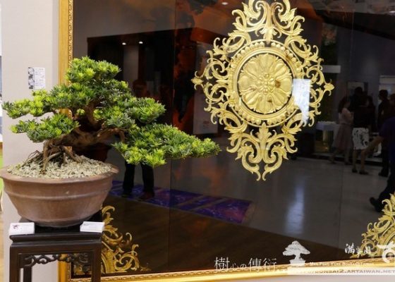 P1090913 [展覽]當盆景遇到藝術玻璃... 東亞藝術玻璃
