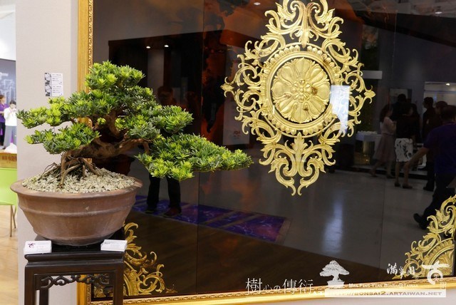 P1090913 [展覽]當盆景遇到藝術玻璃...