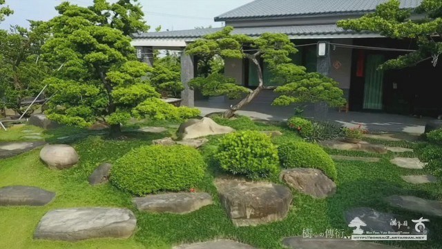 2017 01 16 075920 [羅漢松]View from Sky，創造不同思維(2) 影片(Video)