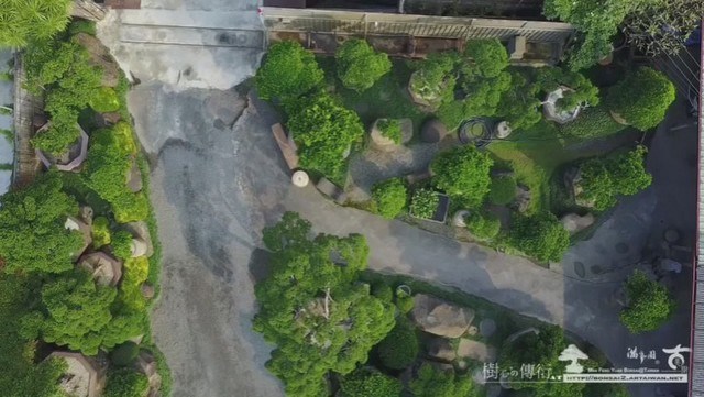 2017 01 16 080954 [羅漢松]View from Sky，創造不同思維(3) 影片(Video)