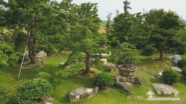 178fc 2017 01 16 075121 [羅漢松]View from Sky，創造不同思維(1) 影片(Video)