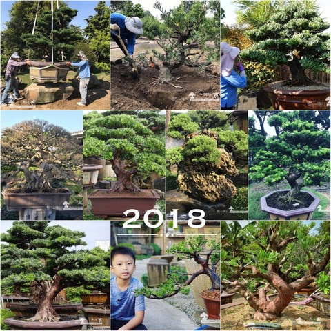 6ca09 6401 走過精彩2018，一起加油！ 我們的作品(Our Design)