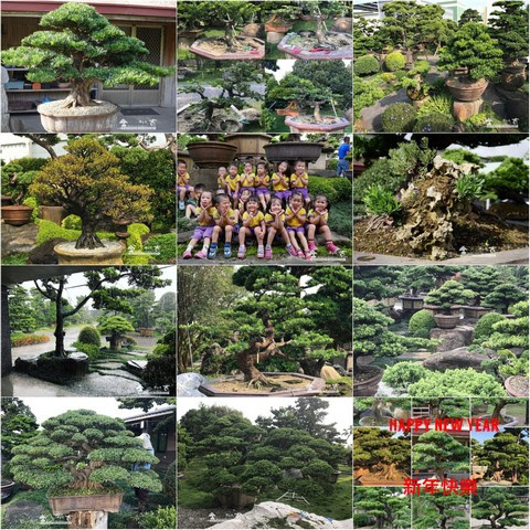 dea69 s 57344002 走過精彩2017，一起加油！ 我們的作品(Our Design)