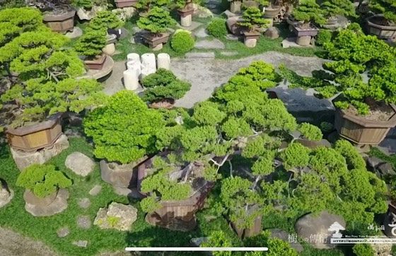 img 8462 用不同的視野，處理事。把角磨圓了，事就圓滿了。 影片(Video)