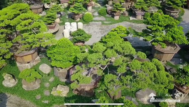 img 8462 用不同的視野，處理事。把角磨圓了，事就圓滿了。 影片(Video)