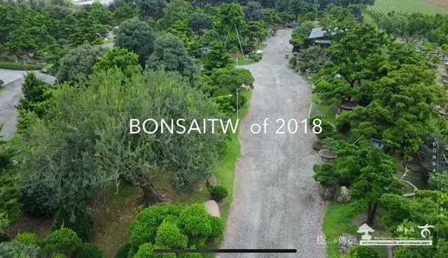 img 8517 [滿峯園古美樹]BONSAITW OF 2018 影片(Video)