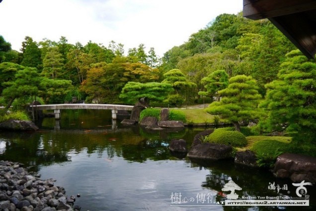 img 8902 [日本庭園]姬路城的遙望．好古園(1) 日本庭園(Japanese Garden)