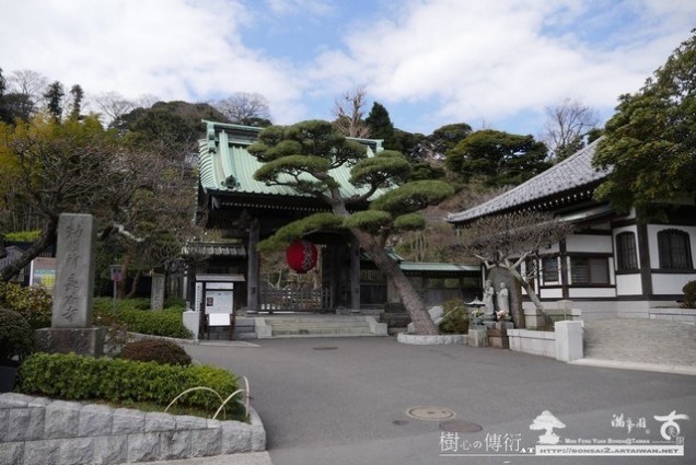 img 8903 [日本庭園]鐮倉．長谷寺(1)