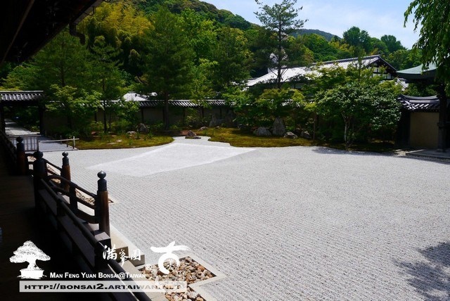 img 8904 [日本庭園]高台寺．庭園(1)