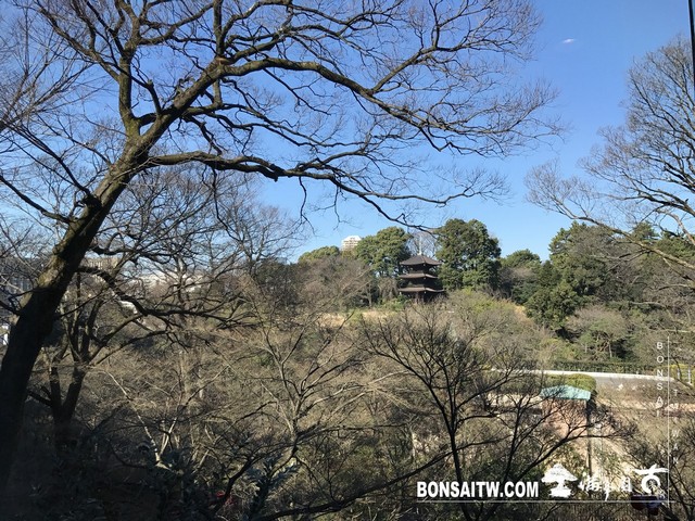 030 [建築與空間]椿山莊．東京 建築與空間(architecture and space)