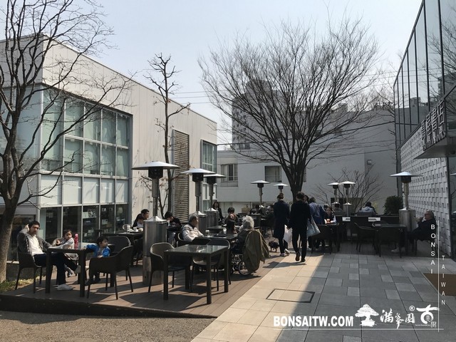 056 1 [建築與空間]蔦屋書店(代官山) 建築與空間(architecture and space)