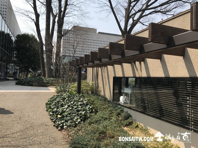 059 [建築與空間]蔦屋書店(代官山) 建築與空間(architecture and space)