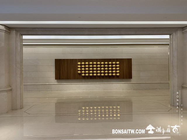 066 [建築與空間]上海震旦博物館 建築與空間(architecture and space)