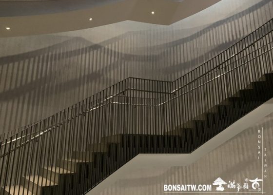 110 [建築與空間]上海震旦博物館 2019