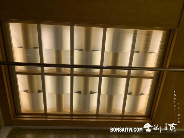 268 [建築與空間]Calypso地中海餐廰．上海 建築與空間(architecture and space)