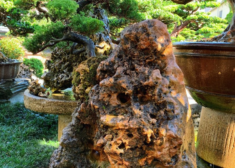 2e2373c7 b3c3 4efc b975 bf493620113e [附石]樹石共生之趣