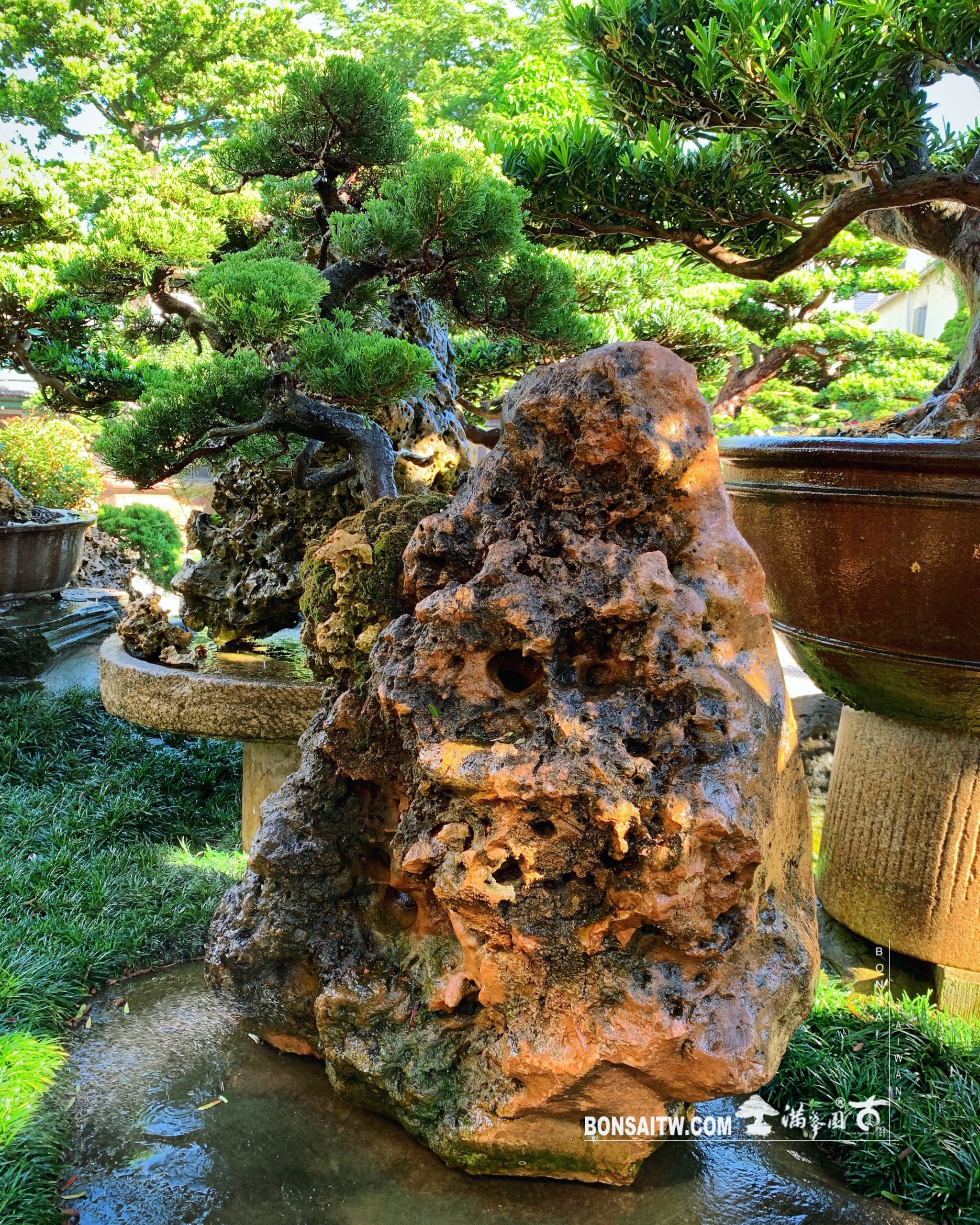 2e2373c7 b3c3 4efc b975 bf493620113e [附石]樹石共生之趣