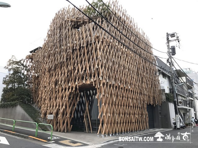 557 [建築與空間]微熱山丘．東京 建築與空間(architecture and space)