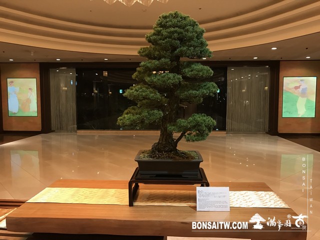 591 [建築與空間]椿山莊．東京 建築與空間(architecture and space)