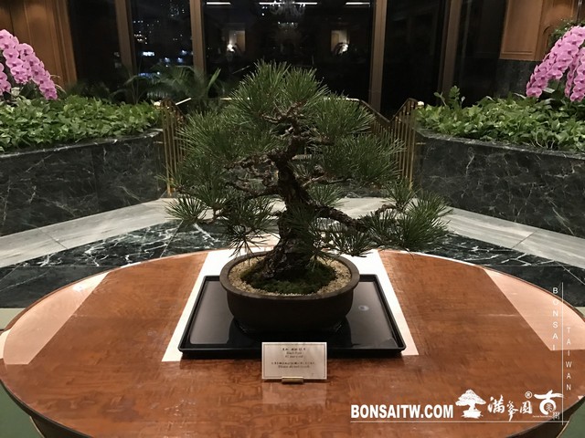 603 [建築與空間]椿山莊．東京 建築與空間(architecture and space)