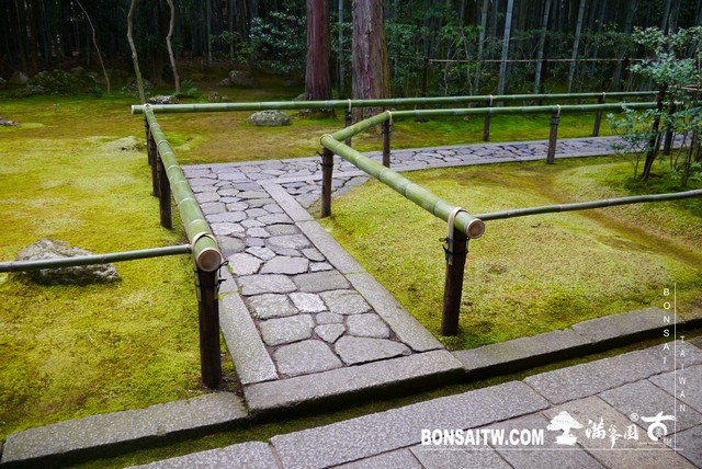 P1060905 [日本庭園]高桐院．京都 日本庭園(Japanese Garden)