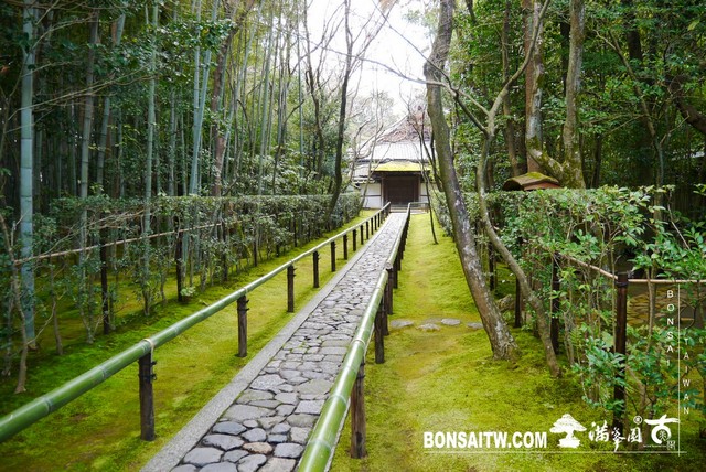 P1060908 [日本庭園]高桐院．京都 日本庭園(Japanese Garden)