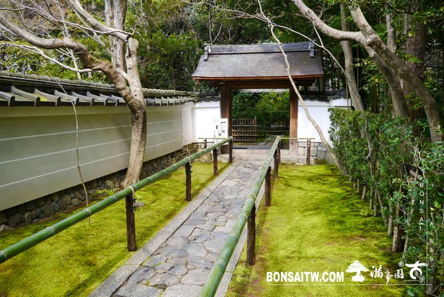 P1060915 [日本庭園]高桐院．京都 日本庭園(Japanese Garden)