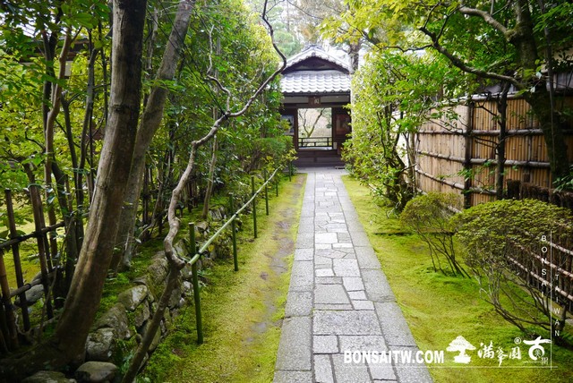 P1060917 [日本庭園]高桐院．京都 日本庭園(Japanese Garden)