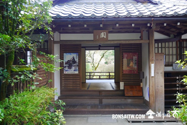 P1060921 [日本庭園]高桐院．京都 日本庭園(Japanese Garden)