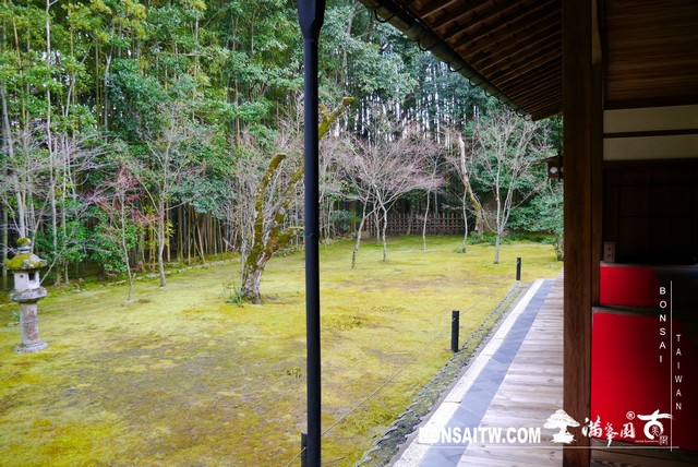 P1060935 [日本庭園]高桐院．京都 日本庭園(Japanese Garden)