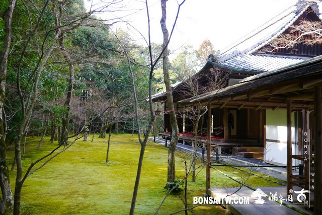 P1060951 [日本庭園]高桐院．京都 日本庭園(Japanese Garden)